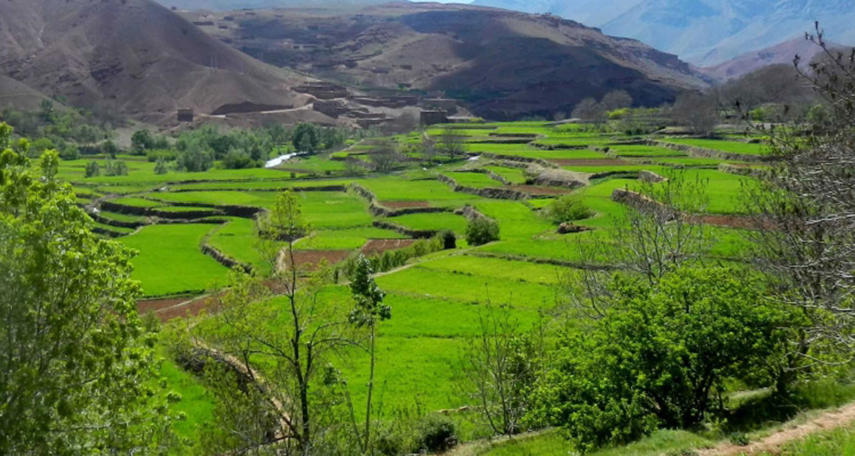 Hiking in Amizmiz Valley