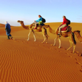 sahara desert tour from marrakech