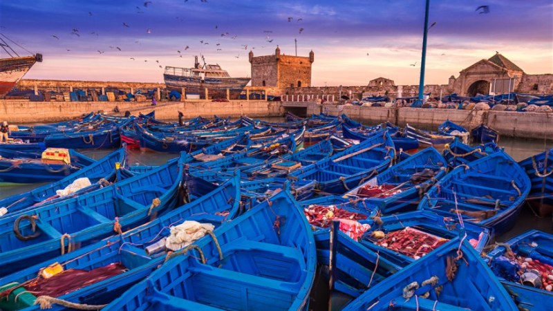 https://www.moroccanmountainguides.com/wp-content/uploads/2020/06/Day-Trip-to-Essaouira-Fishing-Town.jpg